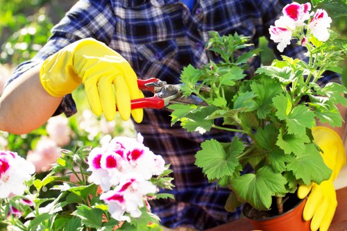 Gardener discussing a complaint with a homeowner in a garden
