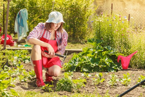 A woman wearing a checked shirt, red apron, and tall red gardening boots is kneeling on the soil of a garden, clearly engaged in planting or tending to young vegetable plants. She is using a small hand tool to work the earth around the plants, which are arranged in neat rows within a backyard garden space. The garden features a well-maintained lawn and a variety of lush green plants, with some flowering plants visible in the background. To the right, a pink watering can rest on the soil, while behind her, a clothesline with hanging laundry is strung across the garden, and a wooden fence encloses the space. The scene is bathed in warm, natural sunlight, indicating a clear day. The garden appears organized and cared for, reflecting outdoor maintenance and gardening activities typical of residential grounds in the Crystal Palace area, supporting the services provided by Gardening Services Crystal Palace. The environment showcases a mix of cultivated vegetable patches, thriving foliage, and practical gardening tools, illustrating a well-kept outdoor space suitable for local gardening and lawn care needs.