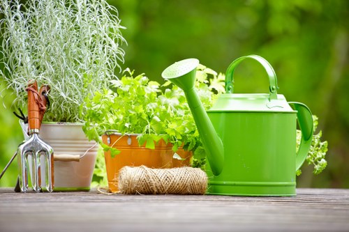 Garden layout plan with diverse plantings