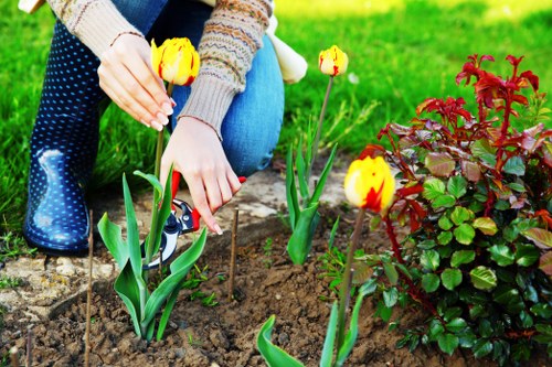Diverse hedge species for garden privacy