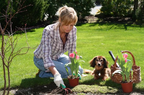 Mulched garden material reused on a local community green space